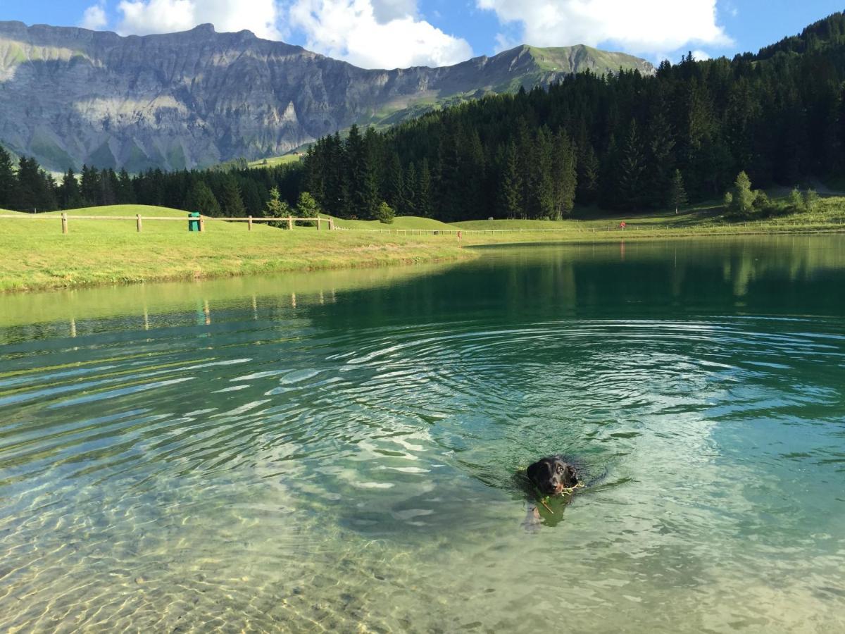 Le Hameau Des Neiges * Praz-sur-Arly
