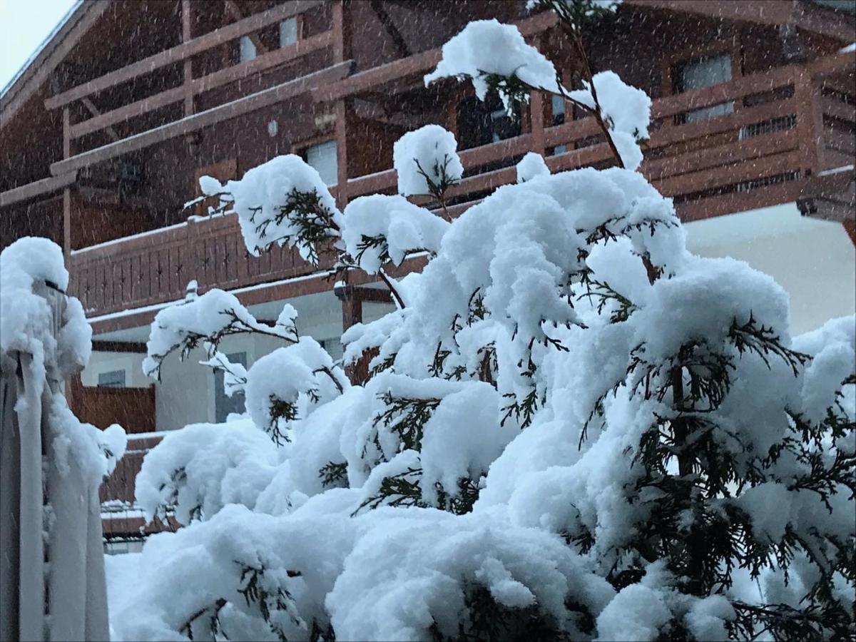 Le Hameau Des Neiges Appartement Praz-sur-Arly